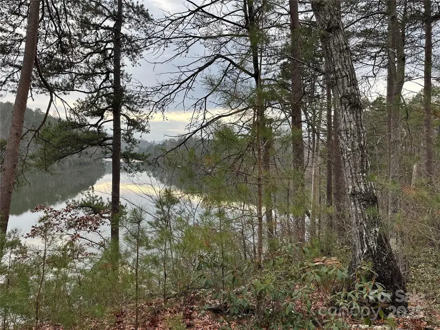 00 Jackson Cove Road W #2, Mill Spring, NC 28756 - Image #3