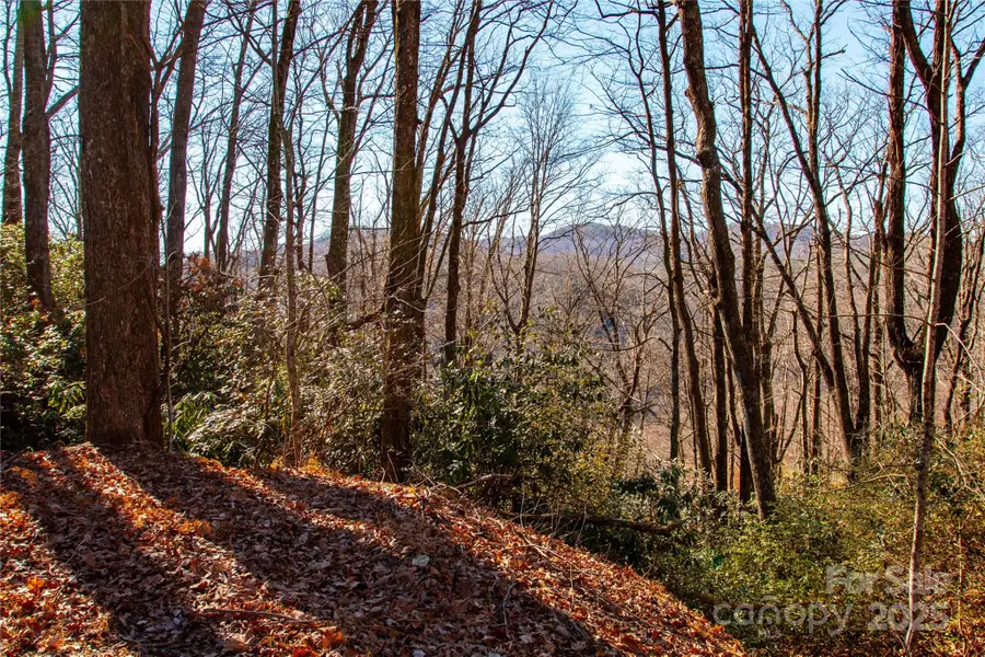 Lot 18 Joshua Road, Rosman, NC 28772 - Image #2