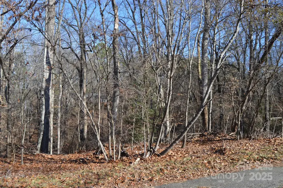 000 Sunset View Lane #57, Statesville, NC 28677 - #2