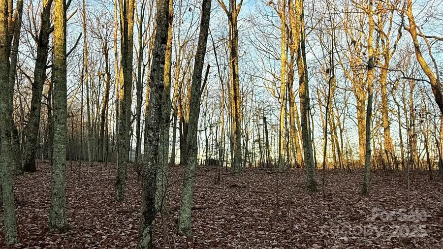 1615 Fox Dairy Road, Newton, NC 28658 - Image #2