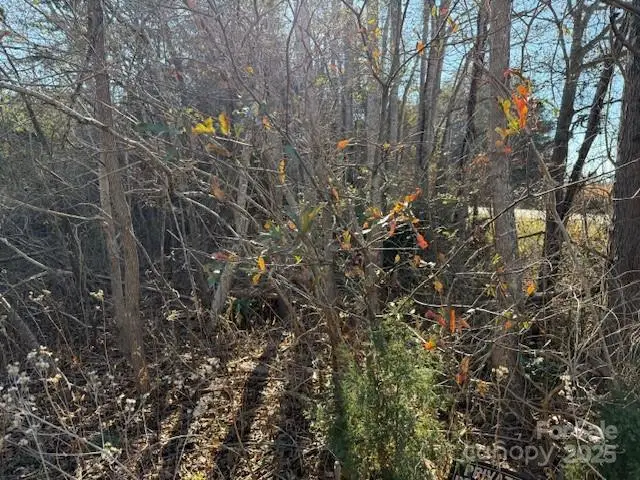 00 Us 221n Highway, Rutherfordton, NC 28139 - Image #2