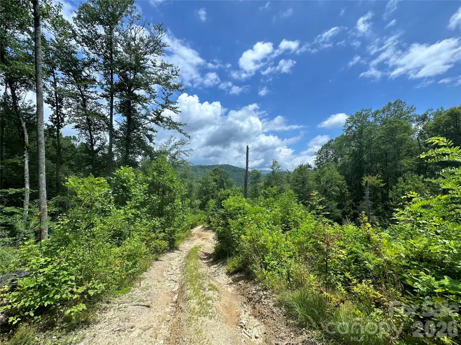 TBD Nc Highway 194 None S, Sugar Grove, NC 28679 - Image #2