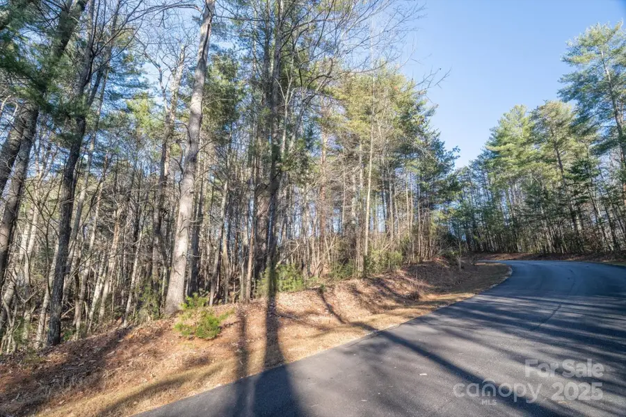 49 Lake James Road, Marion, NC 28752 - Image #3