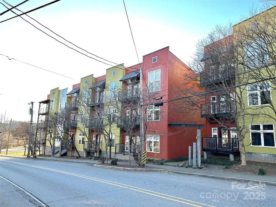 125 Clingman Avenue #203, Asheville, NC 28801 - Image #2