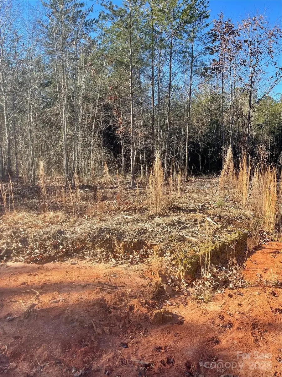 0 Springbrook Lane, Mooresboro, NC 28117 - Image #3