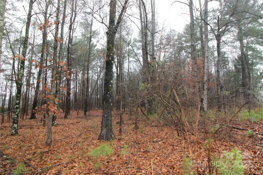 LOT L 9+/-AC Eaker Road, Kings Mountain, NC 28086 - Image #2