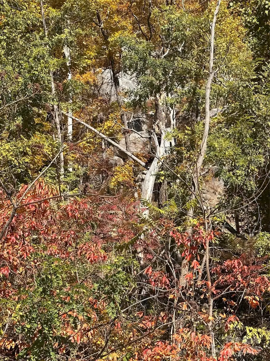 000 Cascada Vista Drive, Chimney Rock, NC 28720 - Image #2