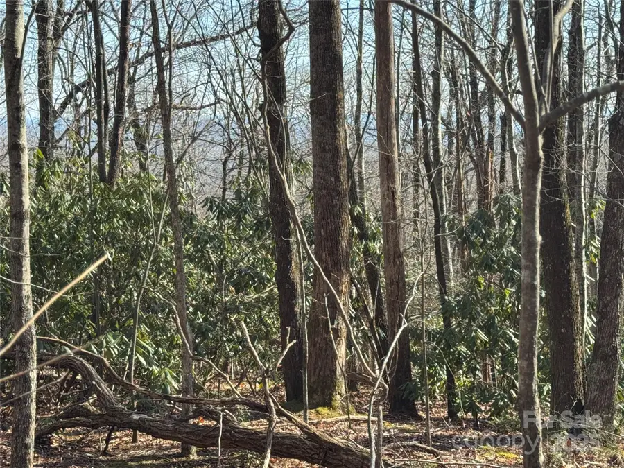 0 Judes Gap Road #3, Mill Spring, NC 28756 - Image #3