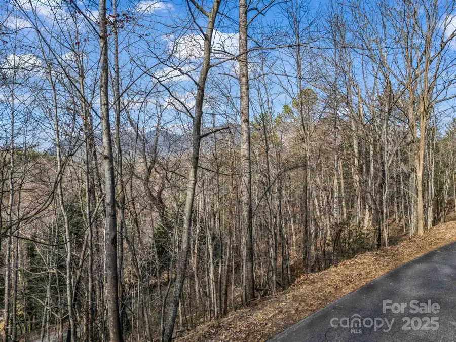 0000 Holmes Road, Lake Lure, NC 28746 - Image #2