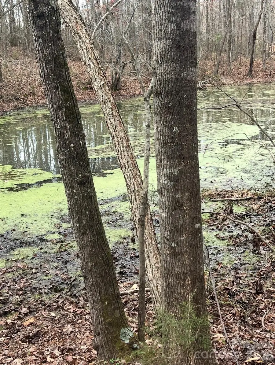 0 Fish Pond Road, Salisbury, NC 28146 - #2