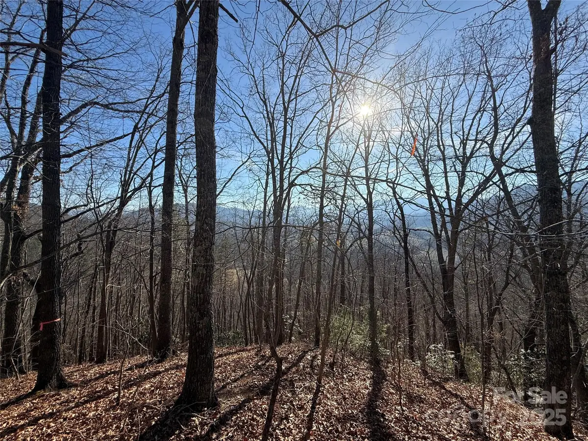 Lot 12 Bernies Trail #12, Waynesville, NC 28785 - Image #1