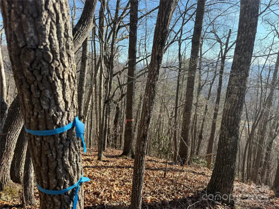 Lot 12 Bernies Trail #12, Waynesville, NC 28785 - Image #2