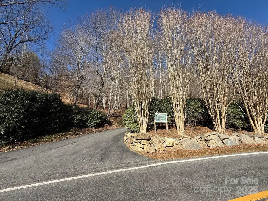 Lot 13 Peter Rabbit Lane #13, Waynesville, NC 28785 - Image #3