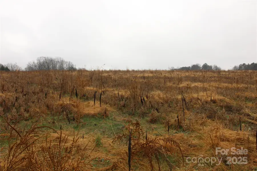 LOT D 3+/-AC Bess Road, Kings Mountain, NC 28086 - Image #3