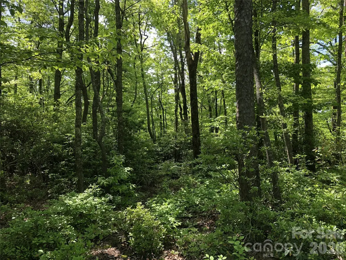 0 Millard Crossing #15, Hendersonville, NC 28792 - #1