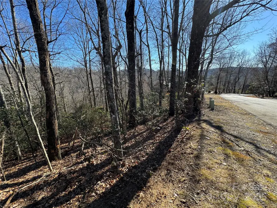 Lot 19 Udoque Court, Brevard, NC 28712 - Image #2
