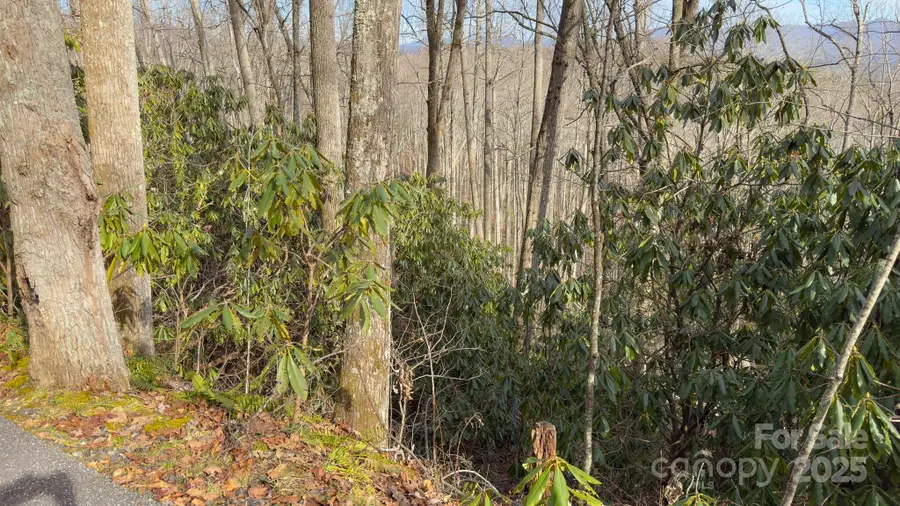 TBD High Acres Road, Spruce Pine, NC 28777 - Image #3