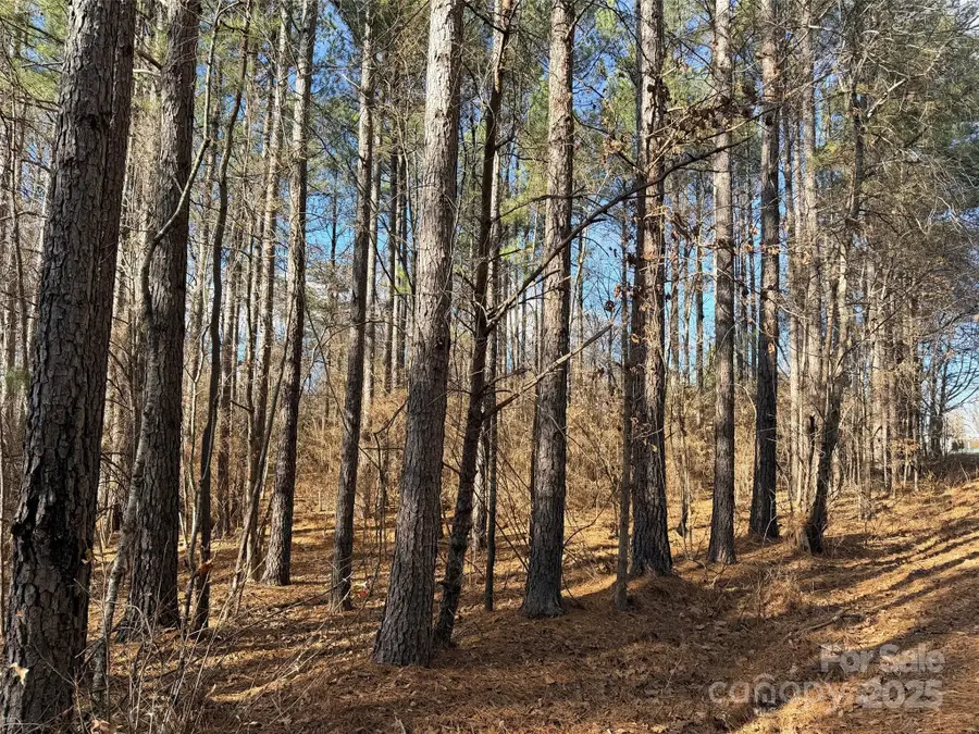 9999 Doggett Grove Road, Forest City, NC 28043 - Image #3