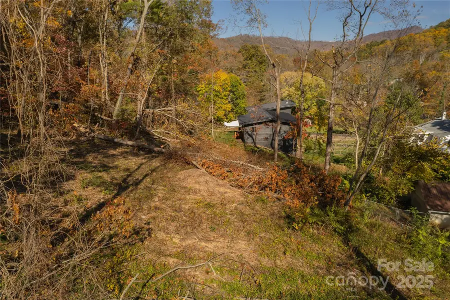 13 Bassett Road, Asheville, NC 28804 - Image #2