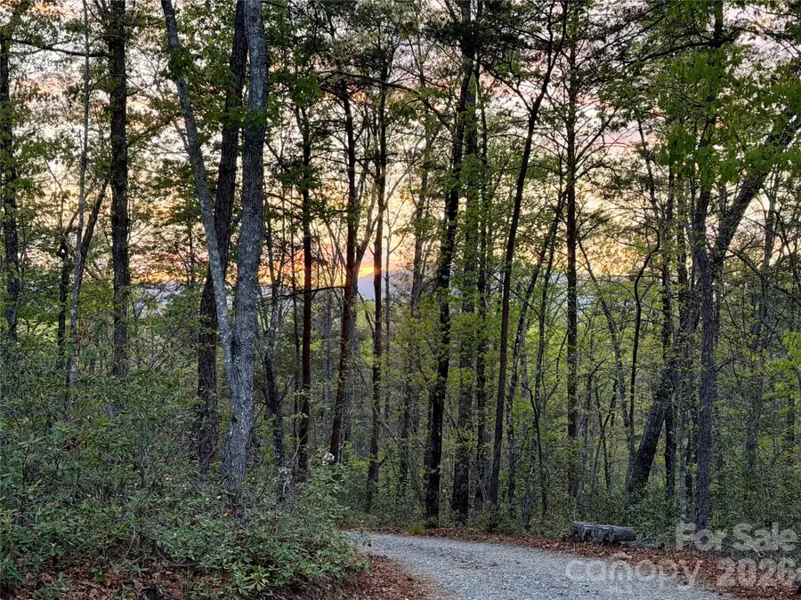 81 Delind Drive, Mill Spring, NC 28756 - #3