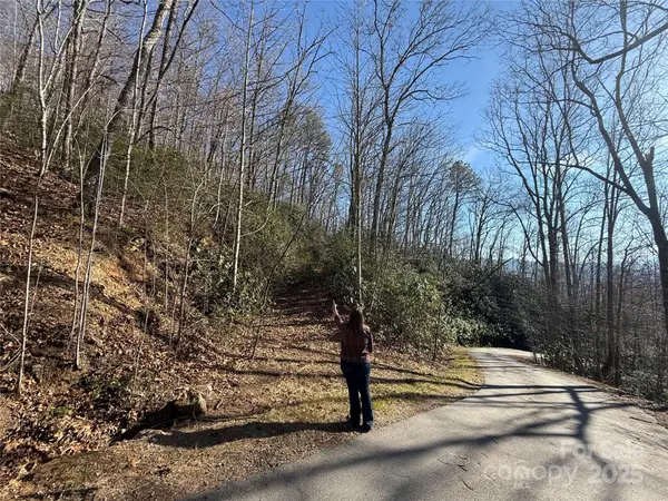 Lot 27 Bernies Trail #27, Waynesville, NC 28785