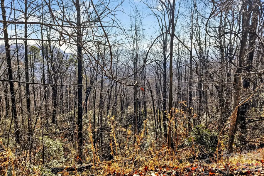 100 Wolf Pen Road, Old Fort, NC 28762 - Image #2