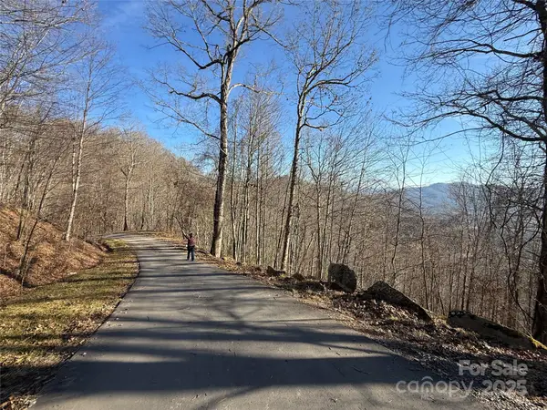 Lot 22 Brer Rabbit Trail #22, Waynesville, NC 28785