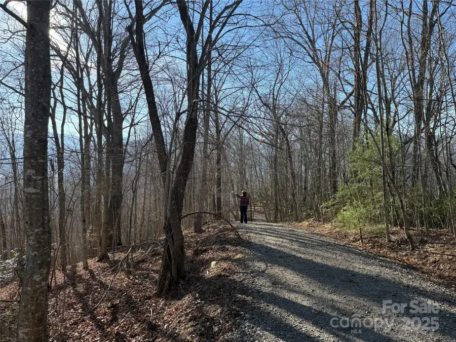 Lot 21 Brer Rabbit Trail #21, Waynesville, NC 28785 - Image #2