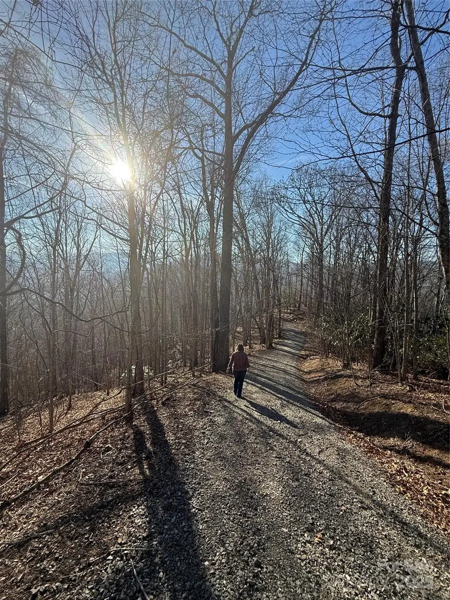Lot 20 Brer Rabbit Trail #20, Waynesville, NC 28785 - Image #2