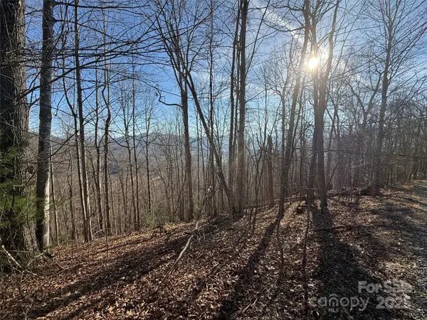 Lot 19 Brer Rabbit Trail #19, Waynesville, NC 28785