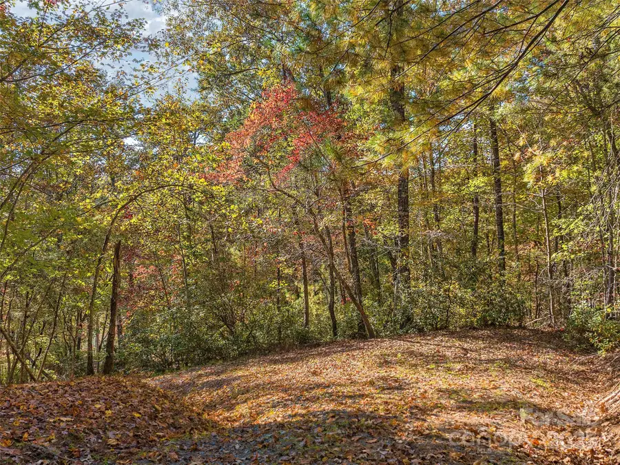 000 South Cove Road #17, Mill Spring, NC 28756 - Image #3