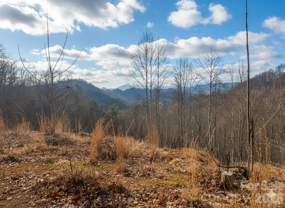 151 Thunderstruck Ridge, Burnsville, NC 28714 - Image #1