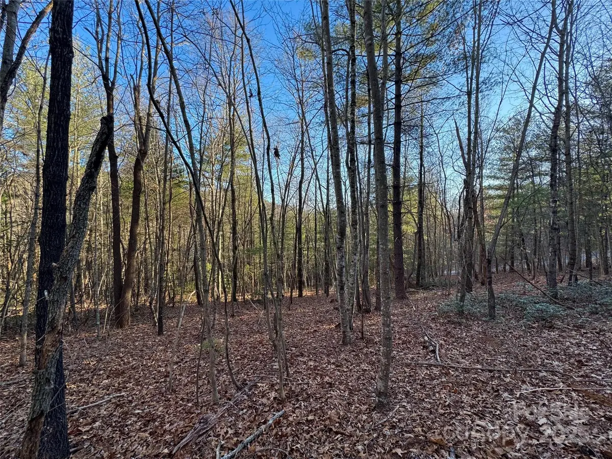 0000 Pebble Stone Trail #46, Hendersonville, NC 28792 - Image #1