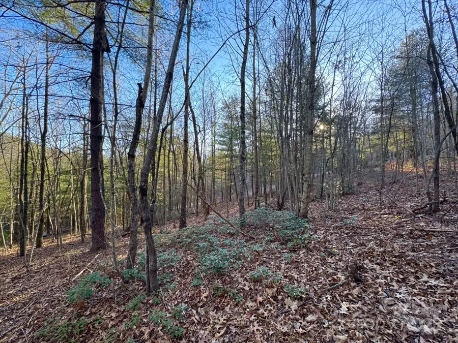 0000 Pebble Stone Trail #46, Hendersonville, NC 28792 - Image #2