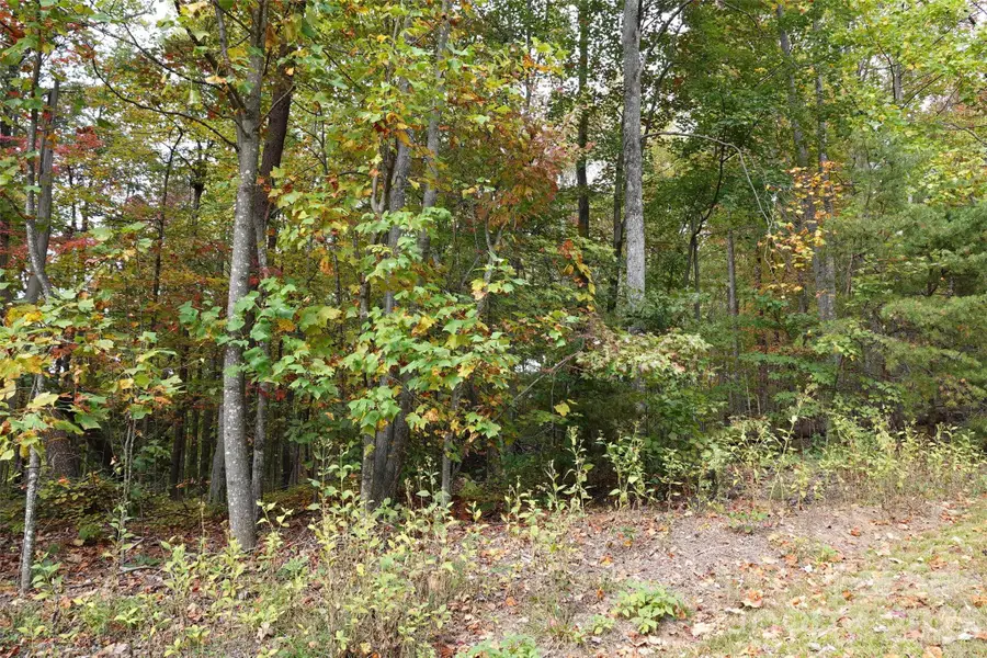 100 Sunset Drive, Bostic, NC 28018 - Image #2