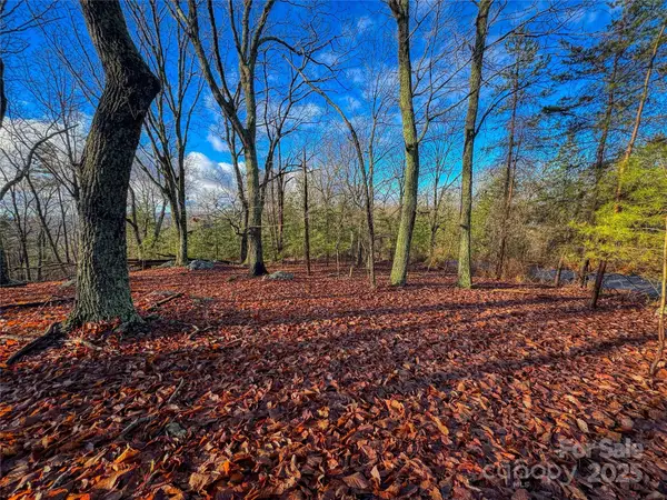 338 Sierra Trace Road, Denton, NC 27239