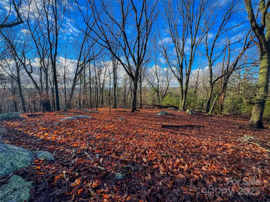 338 Sierra Trace Road, Denton, NC 27239 - Image #2