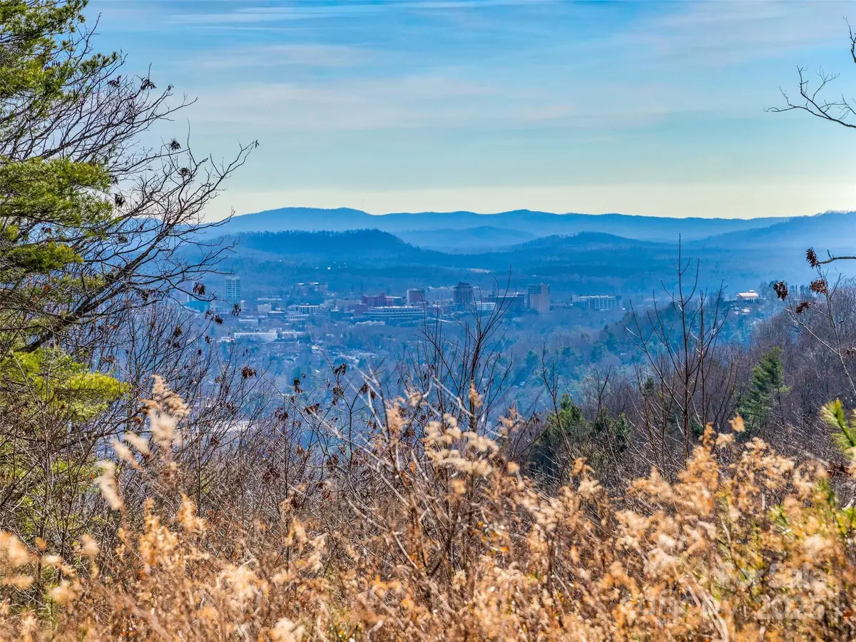 10 Villa Nova Drive, Asheville, NC 28804 - Image #1