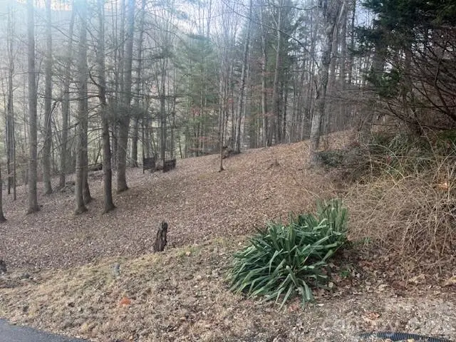 1372 Lickskillet Road, Burnsville, NC 28714 - Image #3