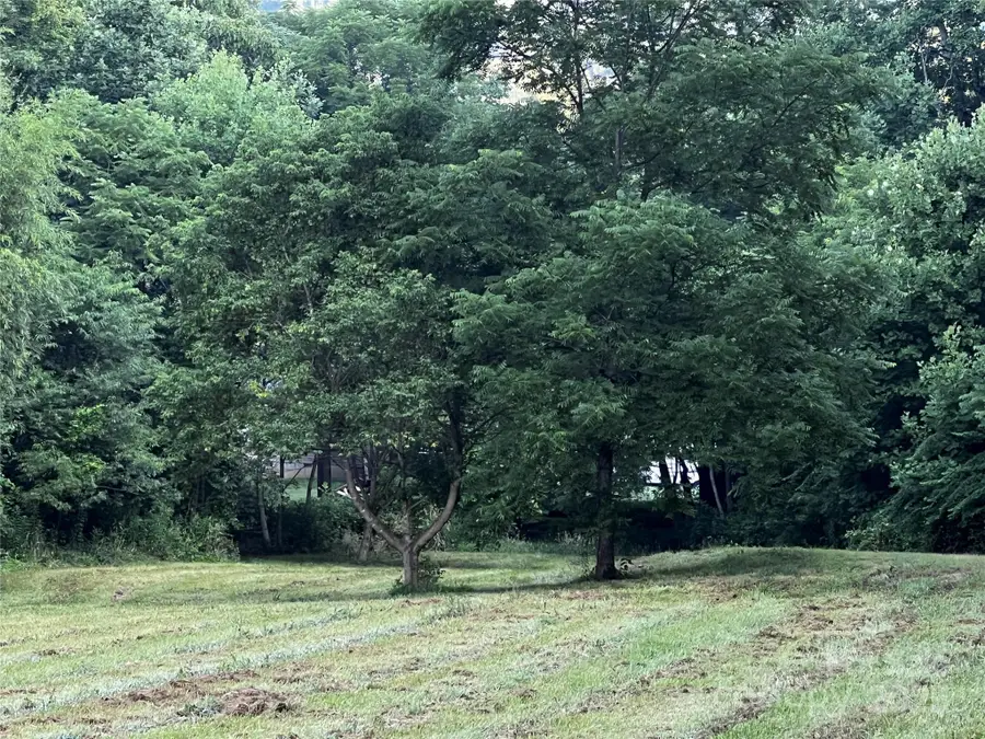 Lot 1 Turtle Rock Lane, Waynesville, NC 28785 - #2