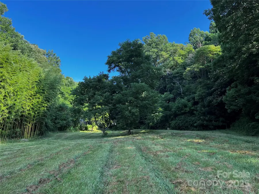 Lot 1 Turtle Rock Lane, Waynesville, NC 28785 - #3