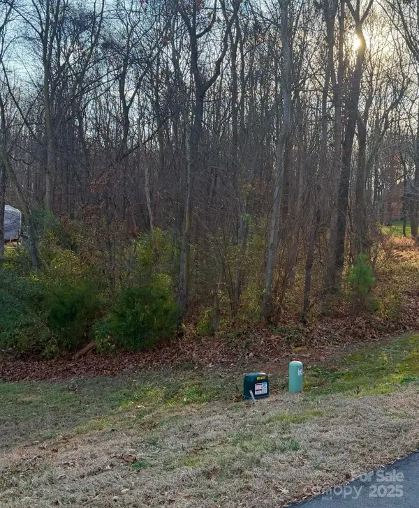 2010 Parrothead Drive, Monroe, NC 28110