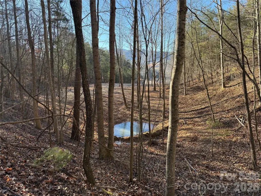 9999 Plum Tree Holler Drive, Hot Springs, NC 28743 - Image #2