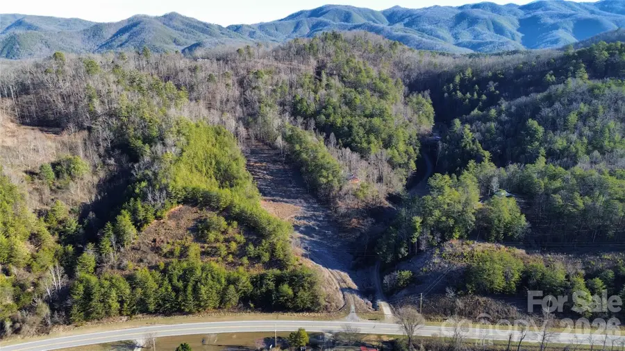 9999 Plum Tree Holler Drive, Hot Springs, NC 28743 - Image #3