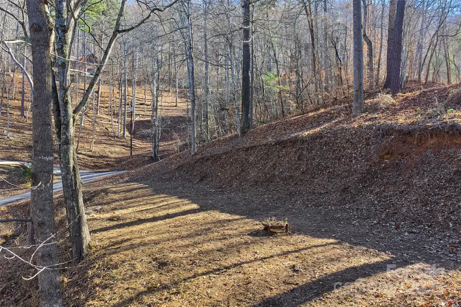 15 Beech Tree Lane, Asheville, NC 28804 - Image #3