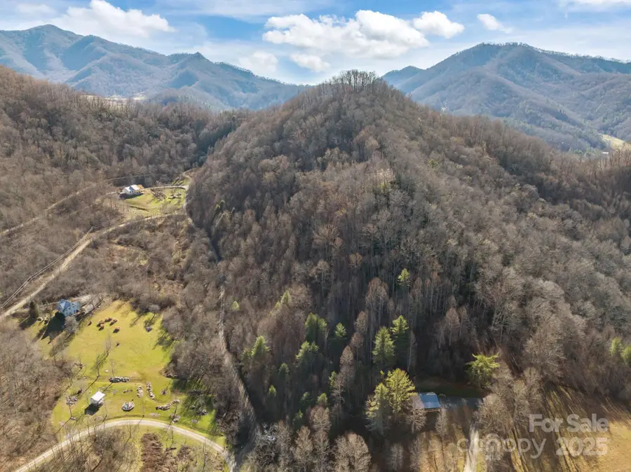 000 Wayward Cove, Clyde, NC 28721 - Image #3