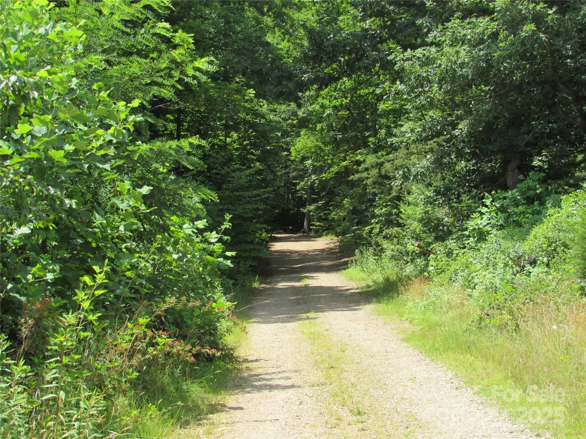 99999 Owen Valley Trail, Black Mountain, NC 28711 - Image #1