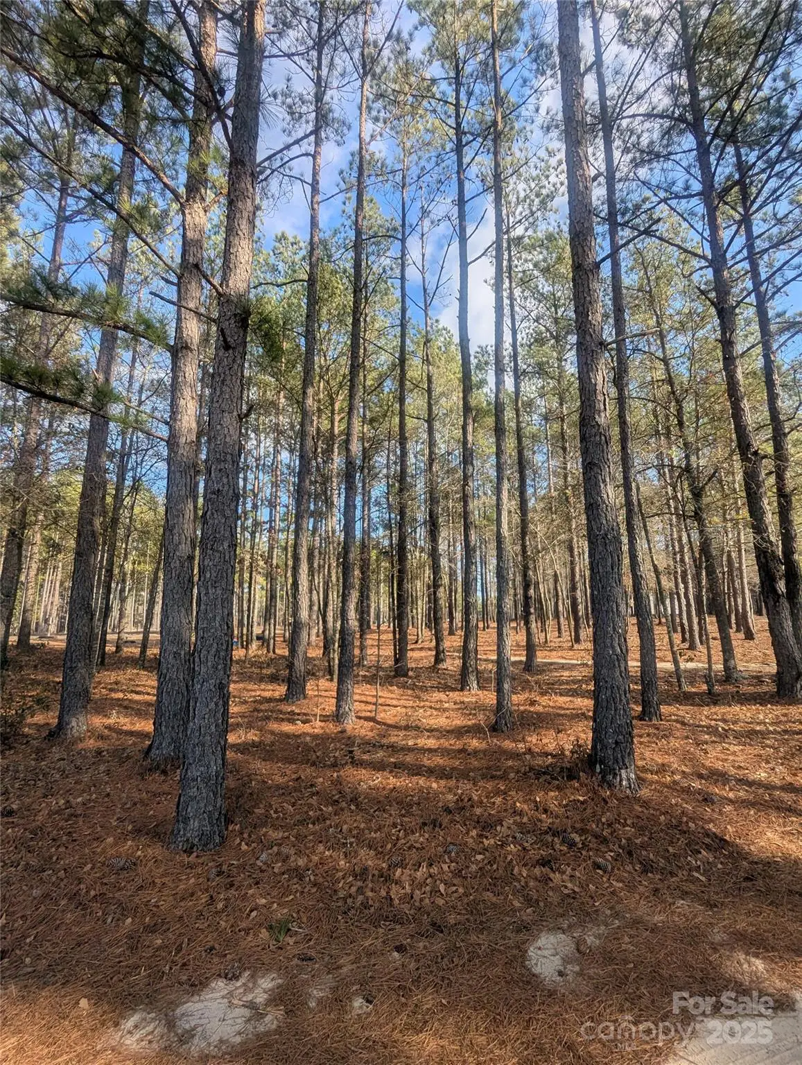 482 Pine Road, Jefferson, SC 29718 - Image #1