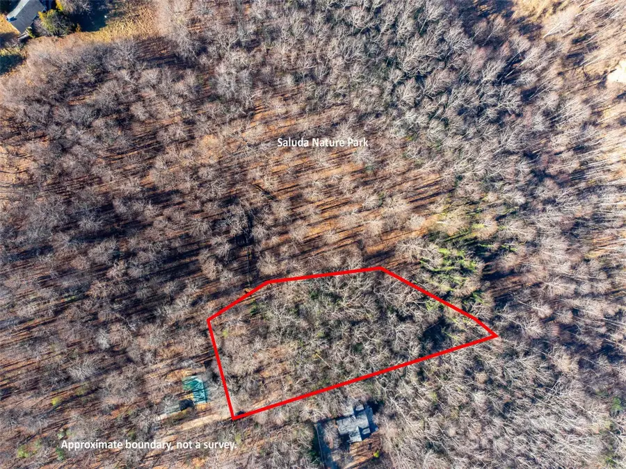 00 Mountain Page Road #17,18,19, Saluda, NC 28773 - Image #3