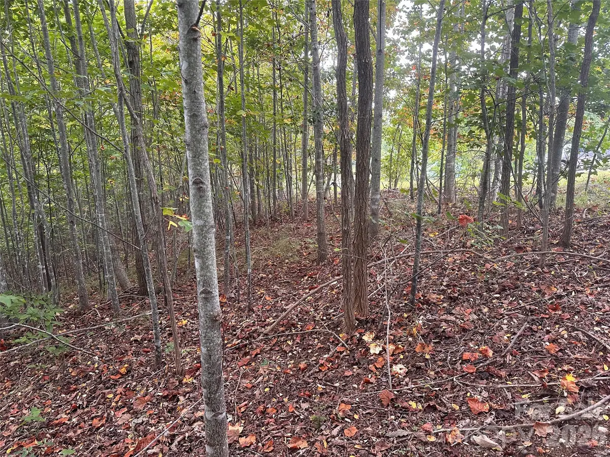 311 Scenic Vista Drive #254, Nebo, NC 28761 - #1